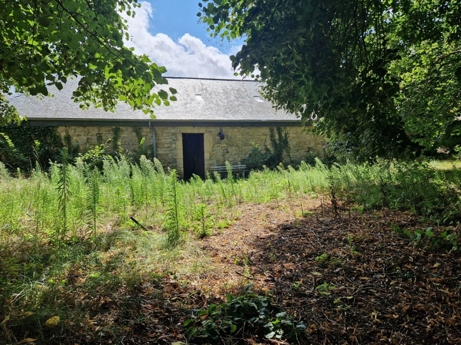 A VENDRE - Villers-devant-Orval - Domaine sur prÃšs de 29 ares - Sudimmo