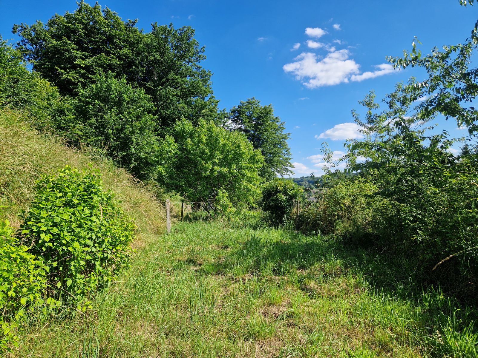 A VENDRE - Villers-devant-Orval - Villa 4 faÃ§ades - Sudimmo