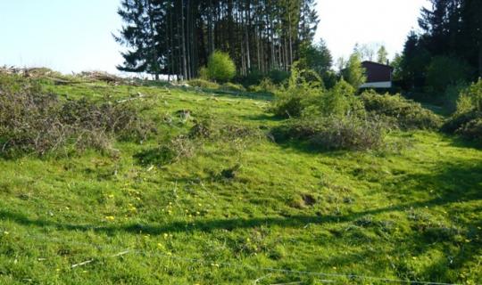 A VENDRE - Fontenoille - Belle parcelle à bâtir - Sudimmo